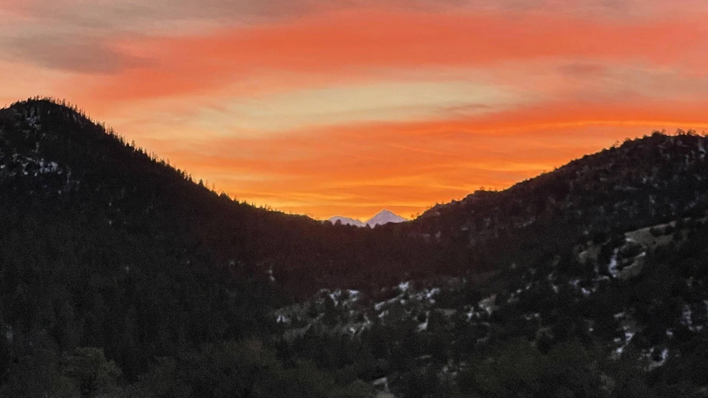 259261AF-0972-4385-98C1-D16423FF5600.webp