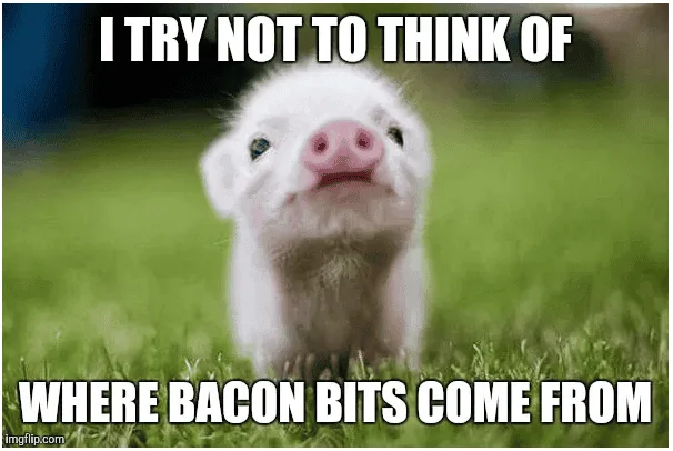 bacon.webp