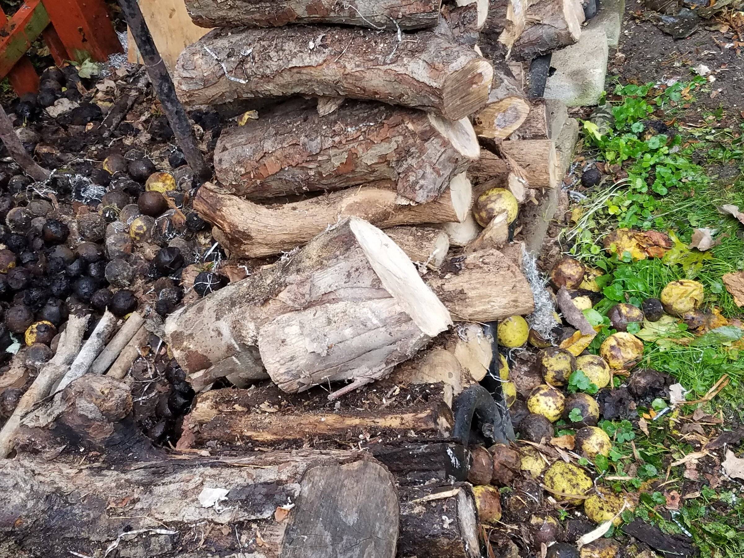 20181027_122354.jpg