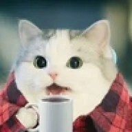 1645402237091.webp