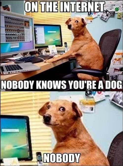internet-dog-memes-571fa6ea3df78c5640736d2e.jpg