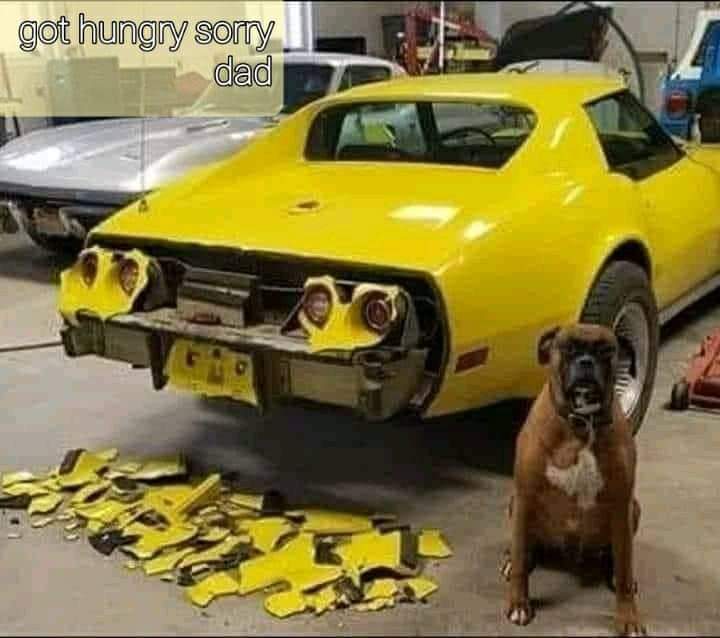 FB_IMG_1620351084279.jpg