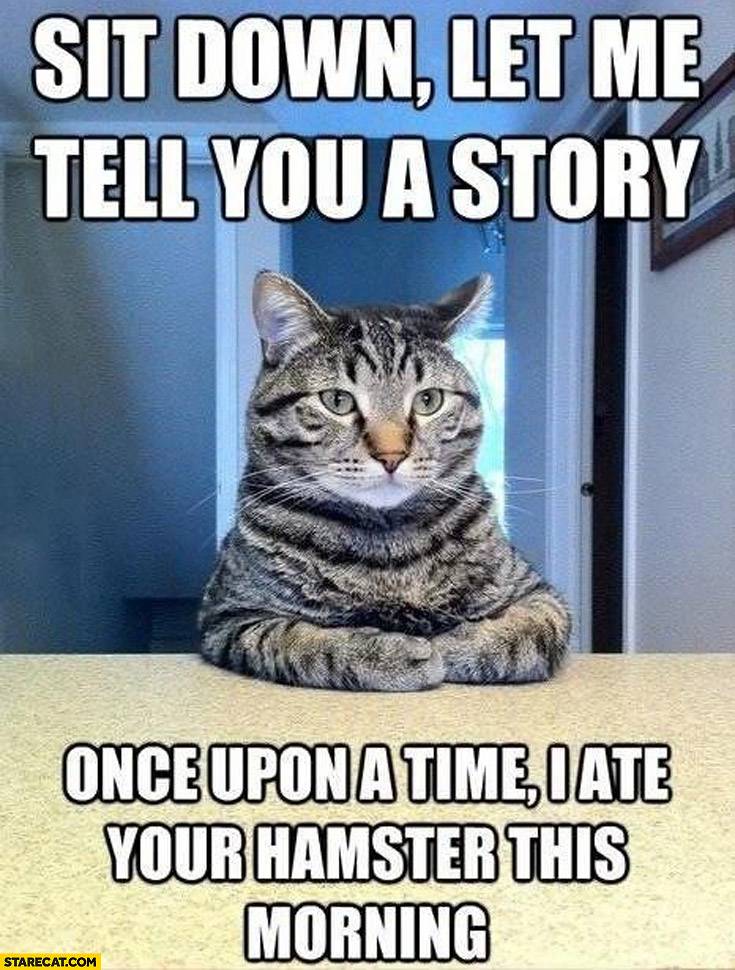 sit-down-let-me-tell-you-a-story-once-upon-a-time-i-ate-your-hamster-this-morning-cat.jpg