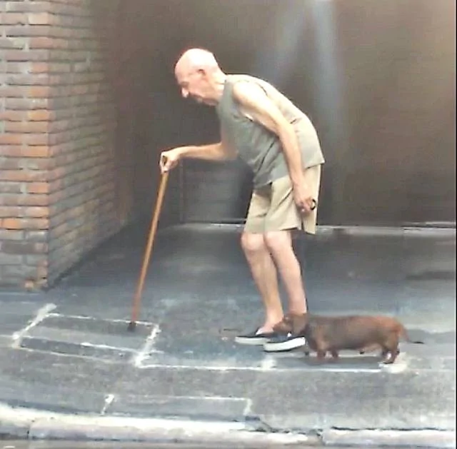 frail-old-man.webp
