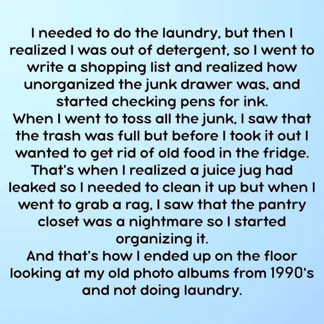 Laundry.webp