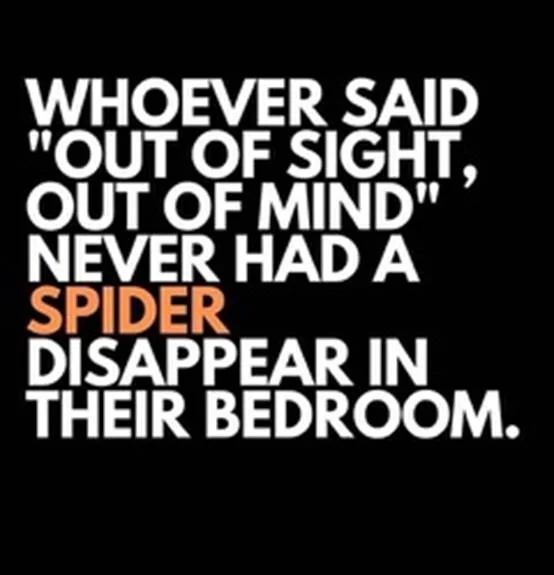 spider.webp