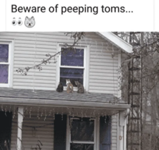 PeepingToms.png