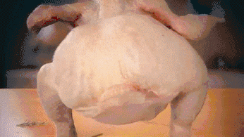 Hip Hop Turkey.gif