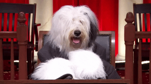 A97AC4EA-0660-47E0-B972-41144B20871F.gif