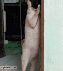 1646328944725.gif