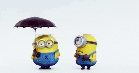 despicable-me-gif.gif
