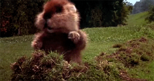 C4A7191C-CF43-4AD1-98F0-EEB6F71FA795.gif