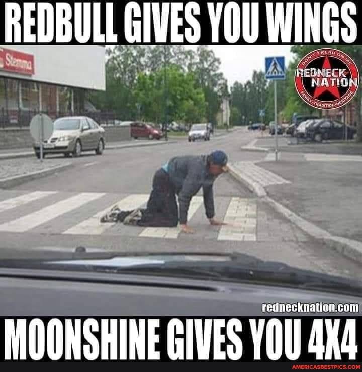 Red Bull gives you wings, moonshine not so much.jpg