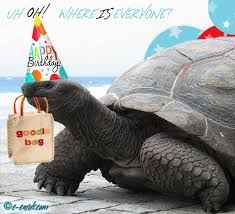 images (1).jpg