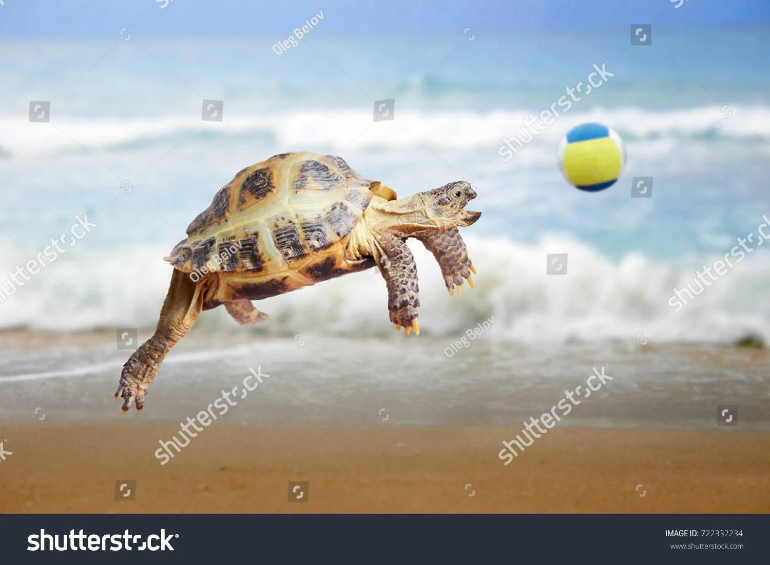 1646832066899.jpeg
