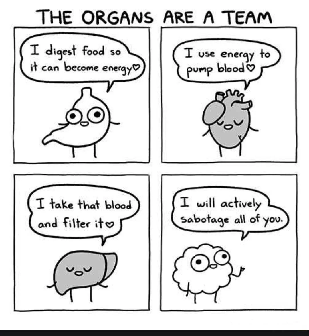 Team.webp