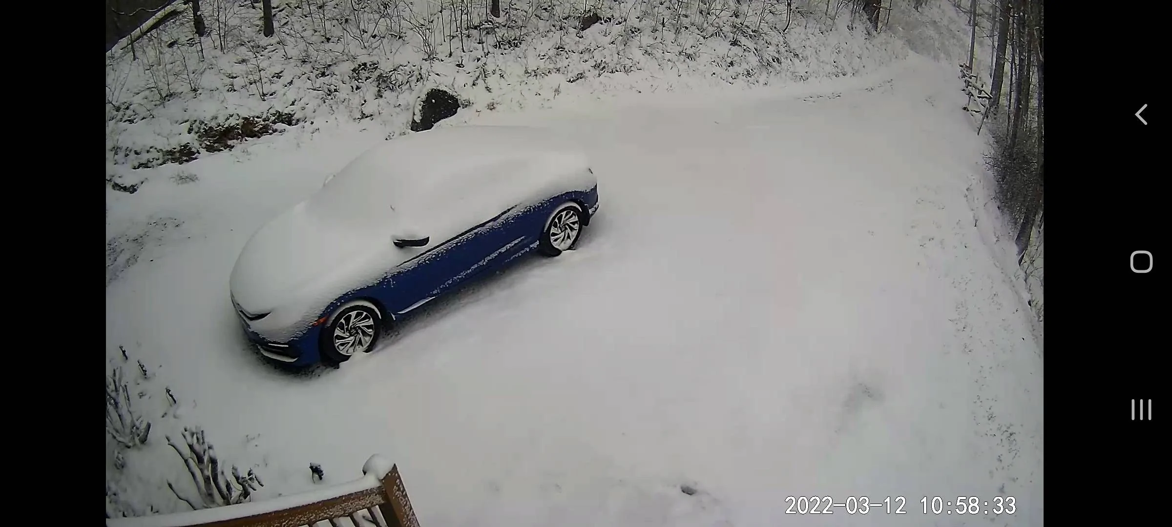 Screenshot_20220312-105833_Wyze.jpg