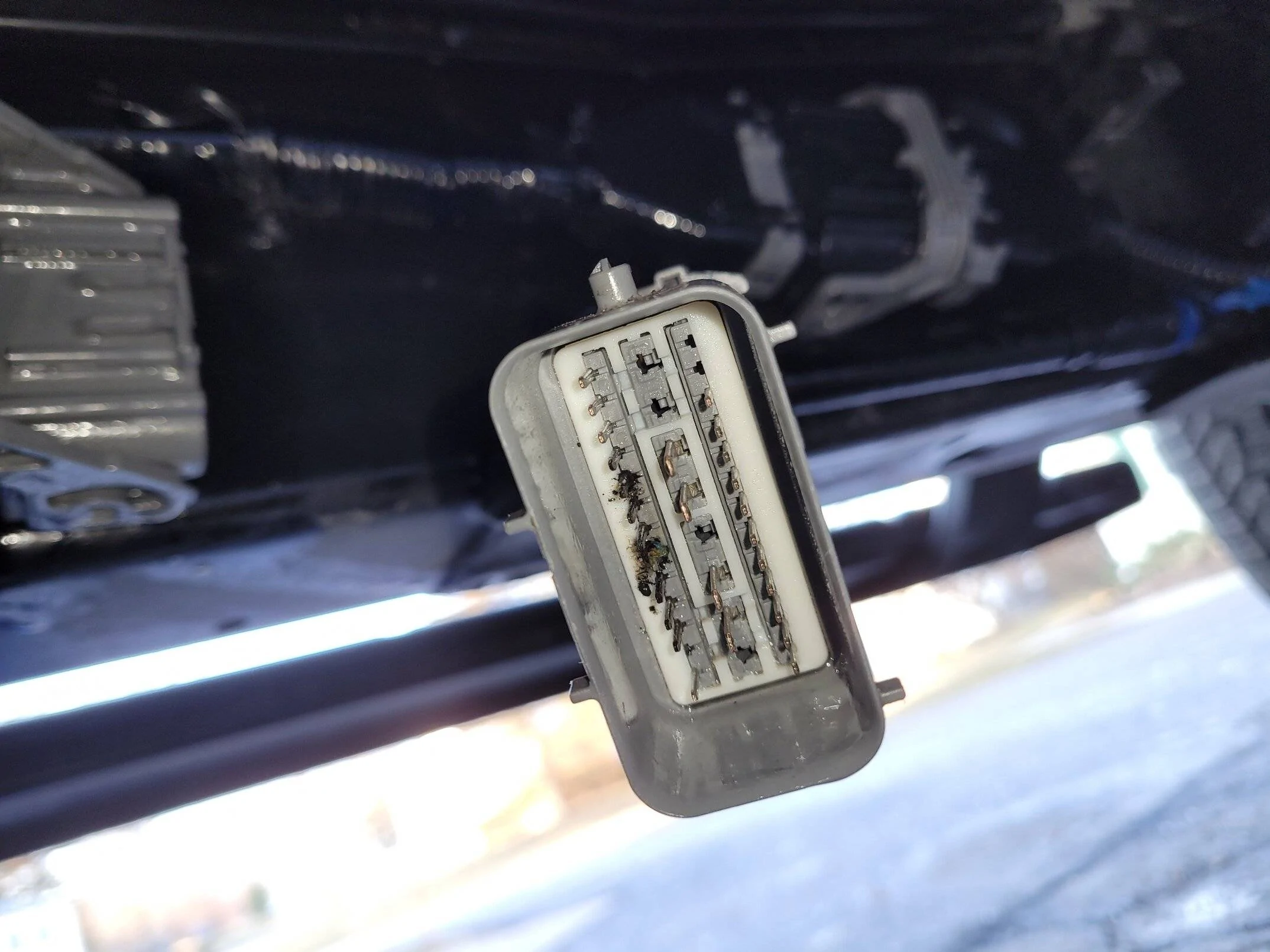 Pins harness1 .webp