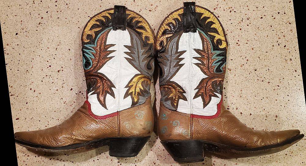 cowgirlboots.jpg