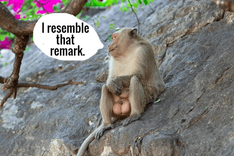 test.webp
