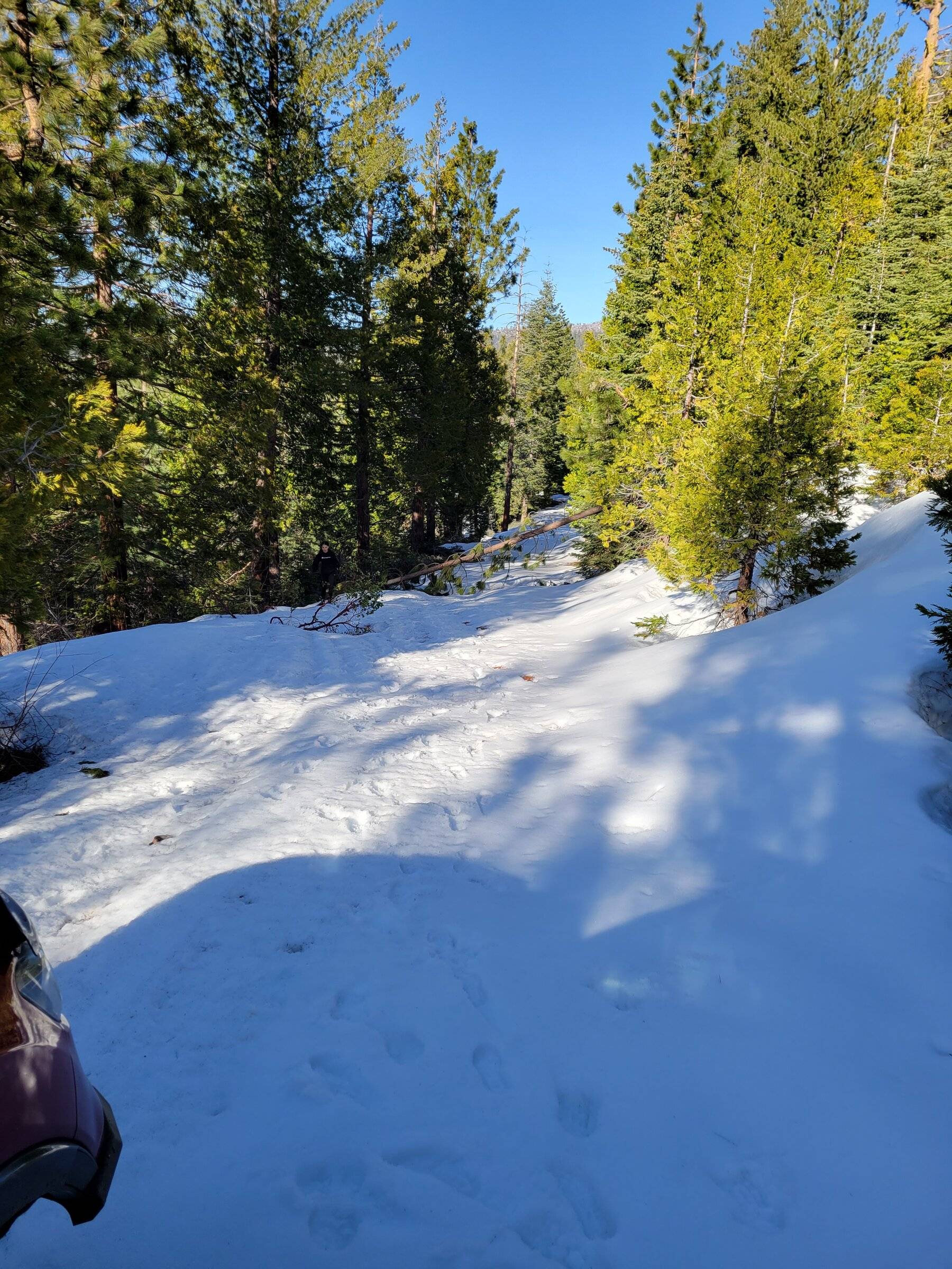 20220313_164903.jpg