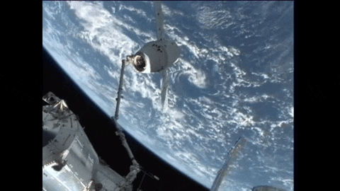 dragon.gif