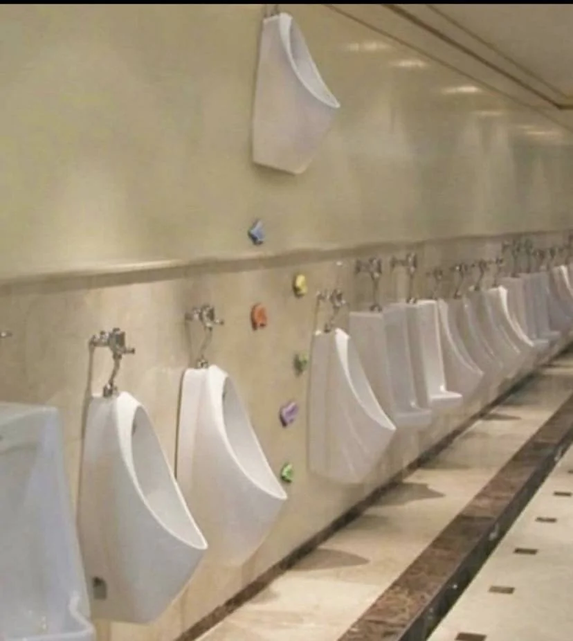 High Urinal.webp