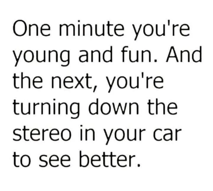 Young and Fun.webp