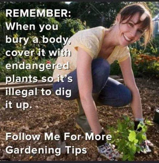 gardening.jpg