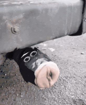 tumblr_p1his0BaW11toamj8o1_400.gif