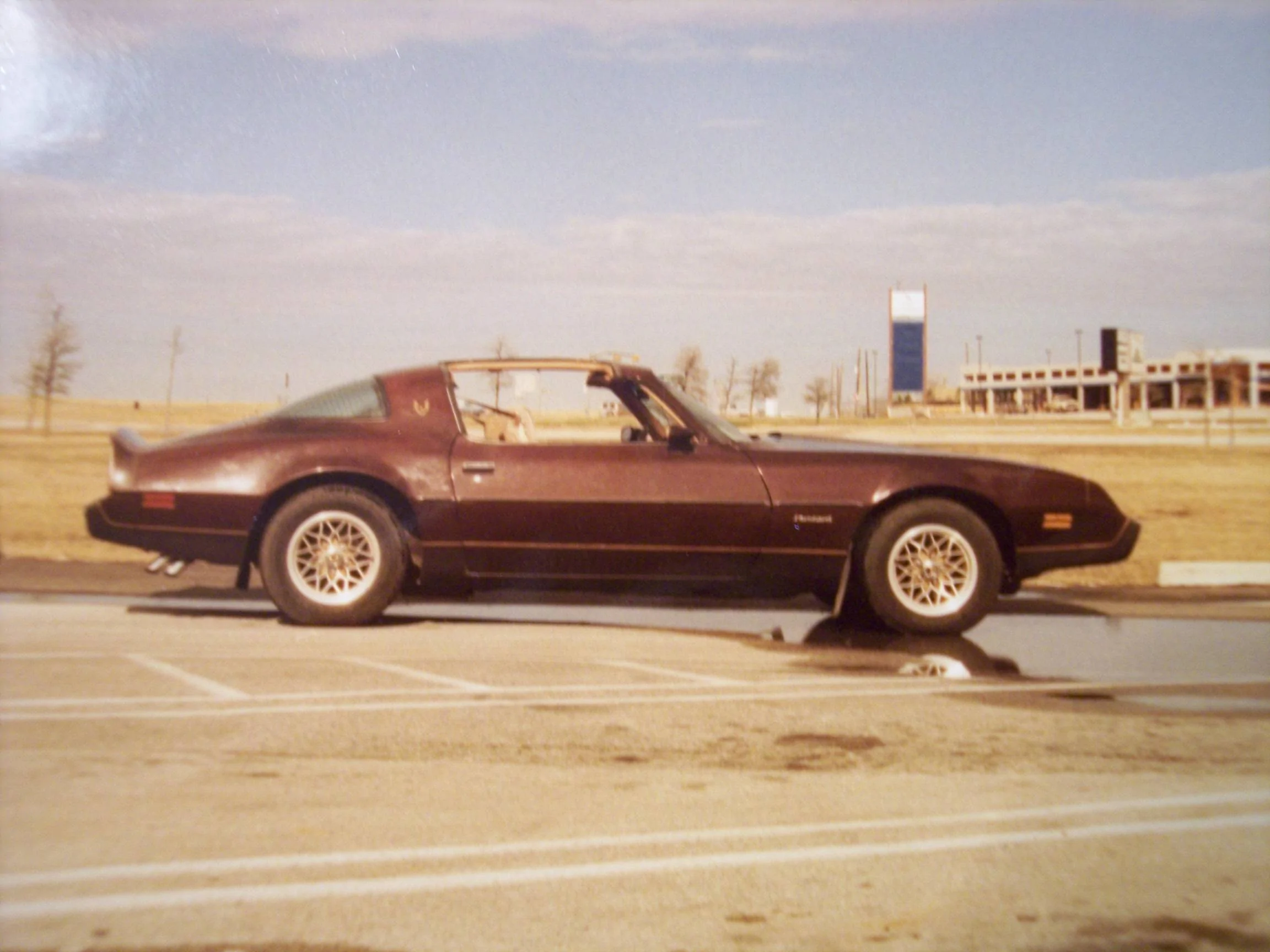 Firebird.jpeg