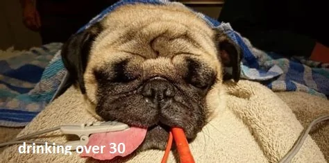 drinking over 30.jpg