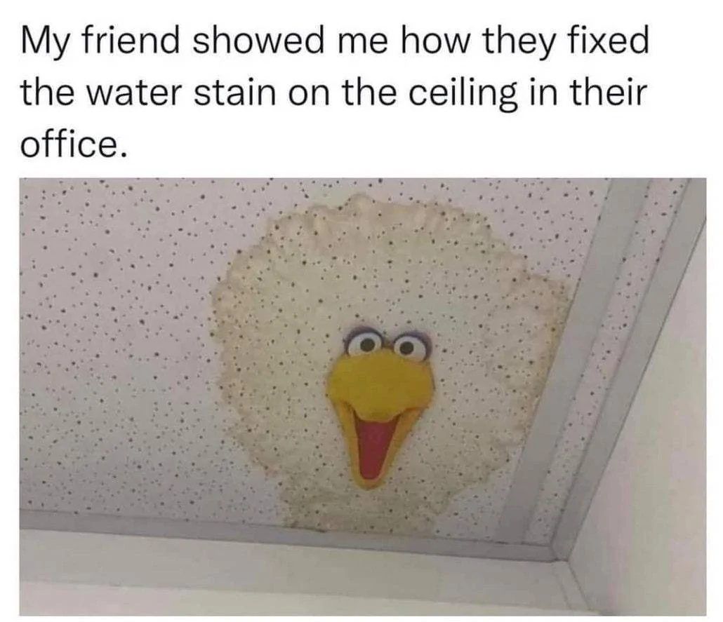 Water Stain.webp