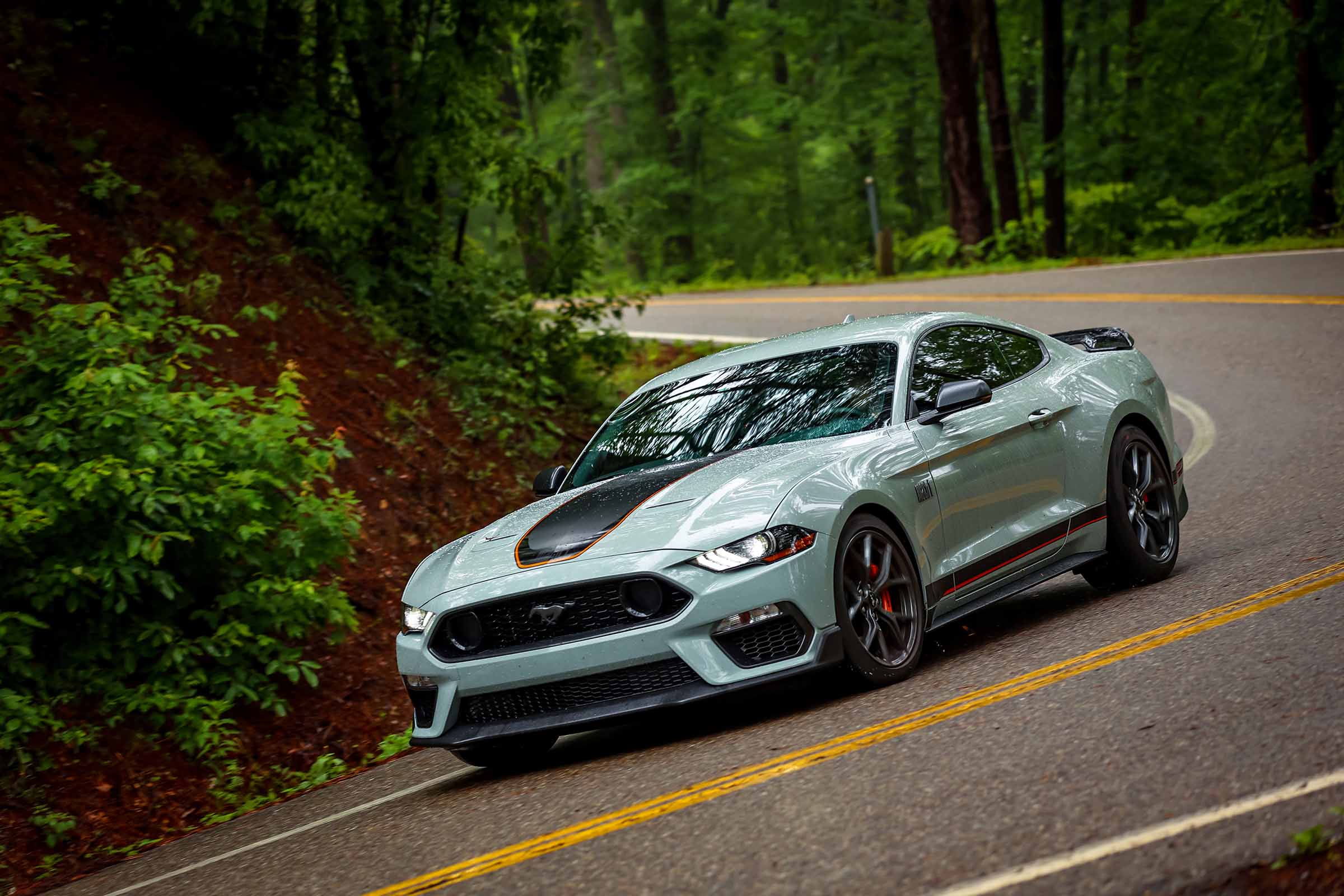 Mustang Dragon 2021 Tuesday  (1) for web.jpg