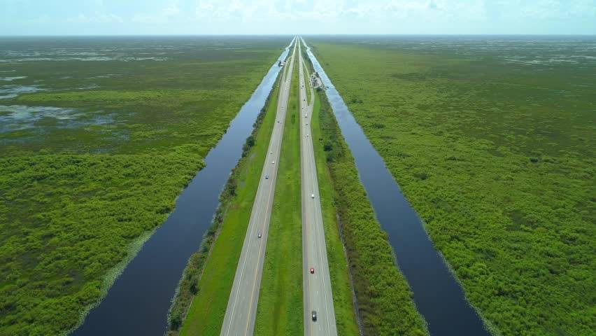 Alligator Alley.jpg