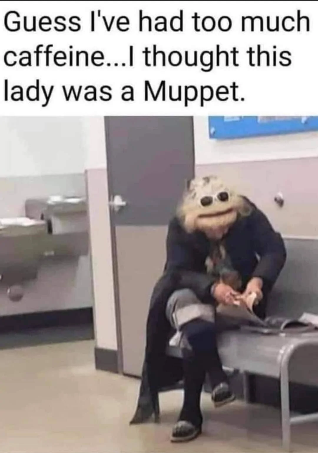 Muppet.webp