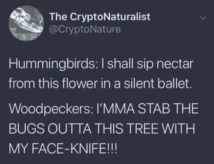 1648990455965.png