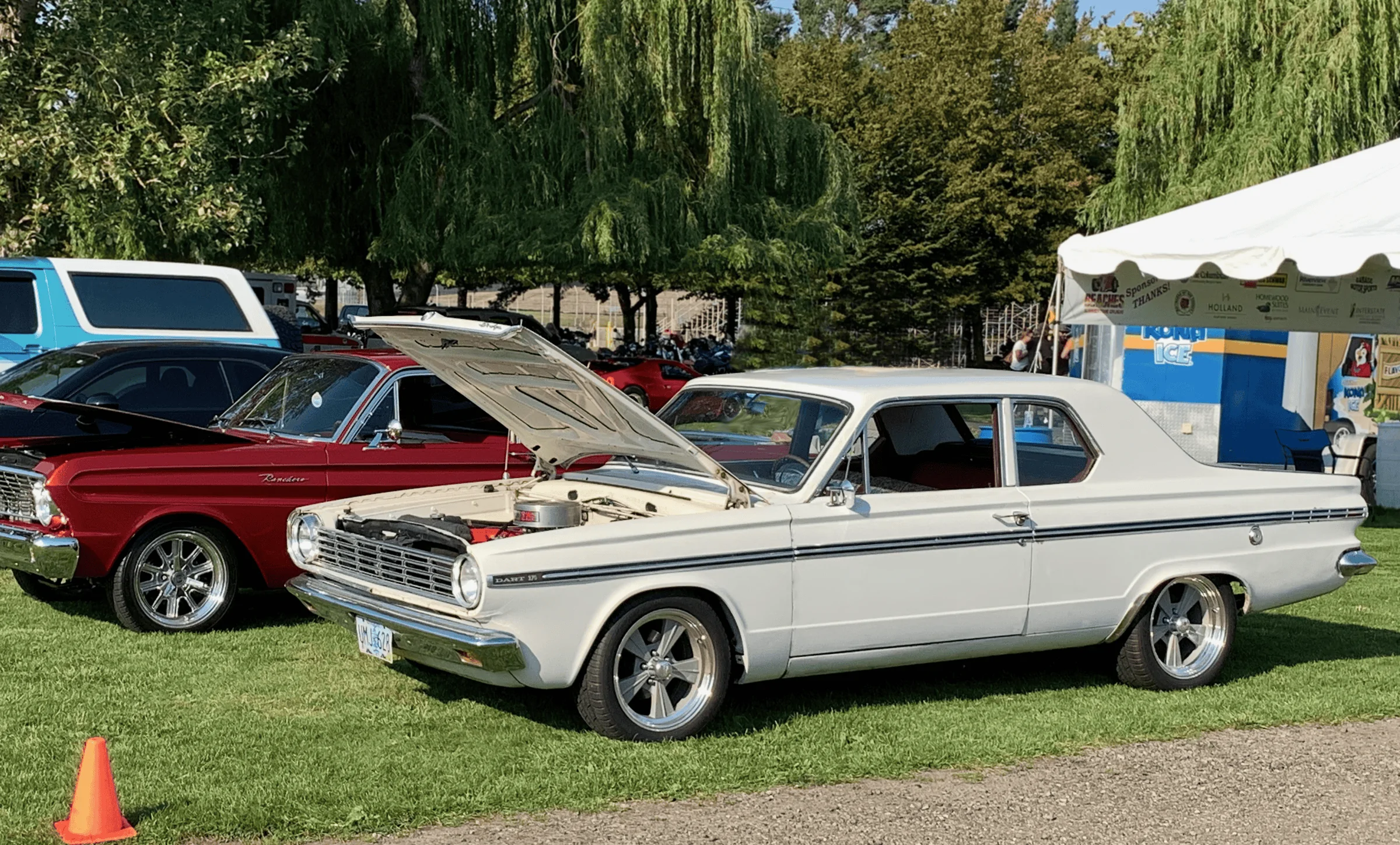 dart at PIR.webp