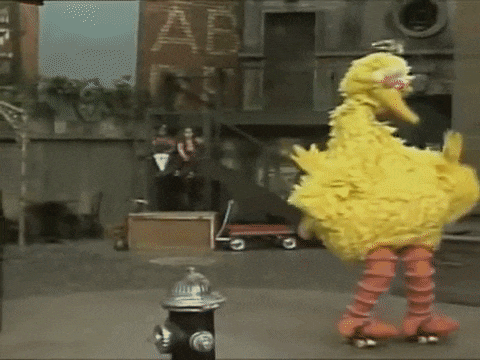 bigbird.gif