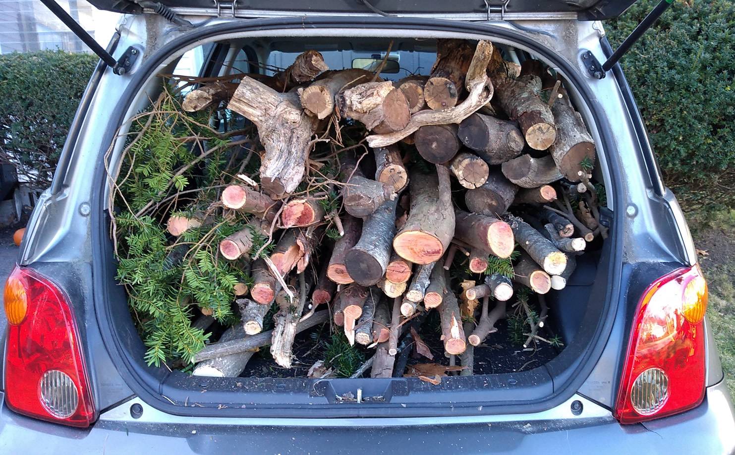 wood.jpg