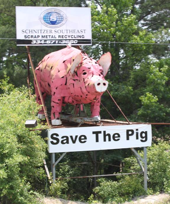 the pig with regular sign.jpg