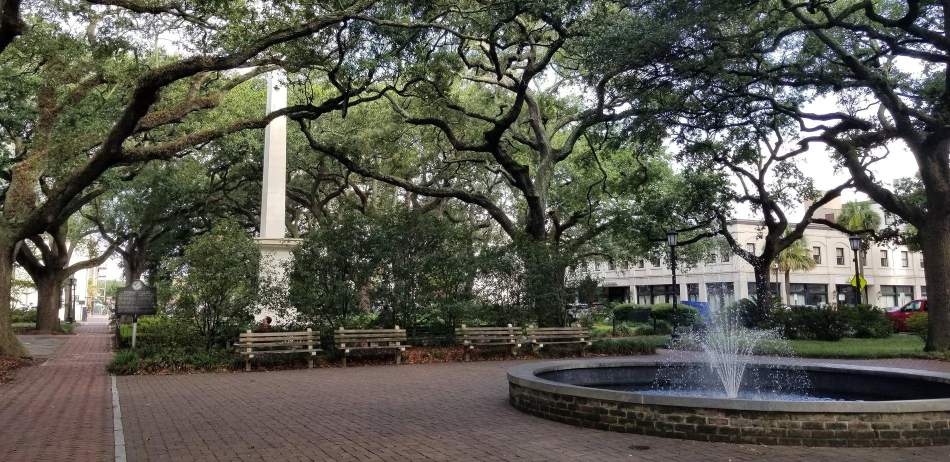 20190622_091934.jpg