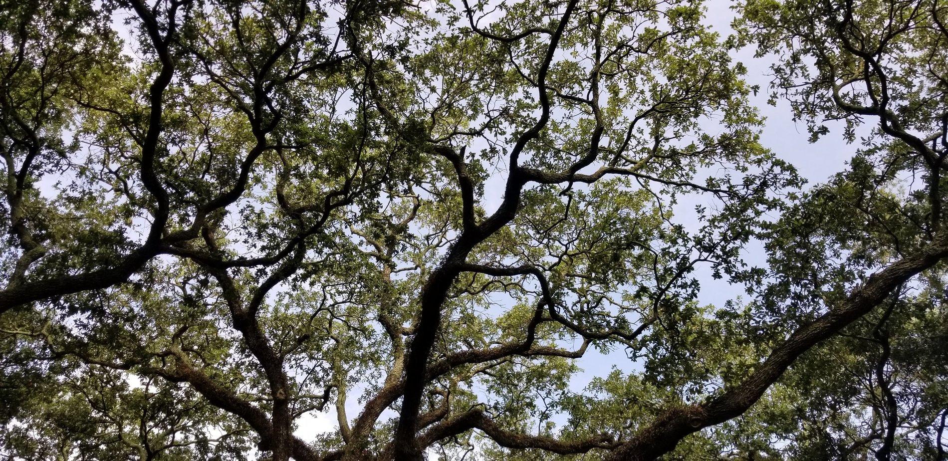 20190622_091952.jpg