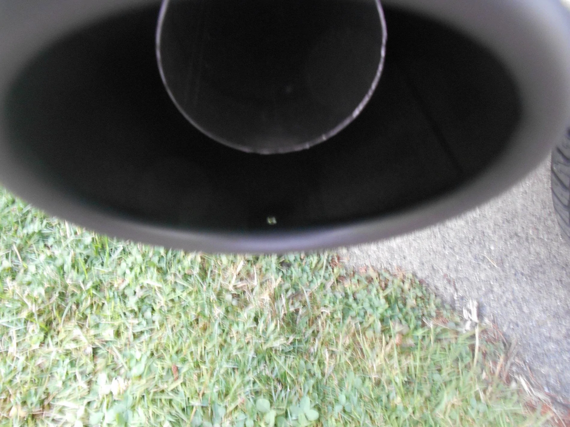 DSCN1212.webp