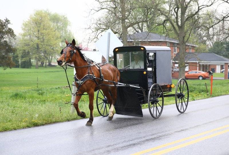 amish-horse-buggy.jpg