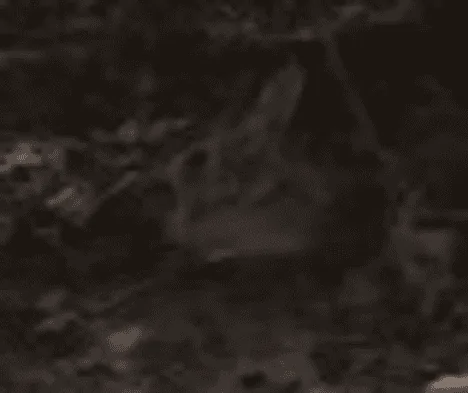 1649866387532.png
