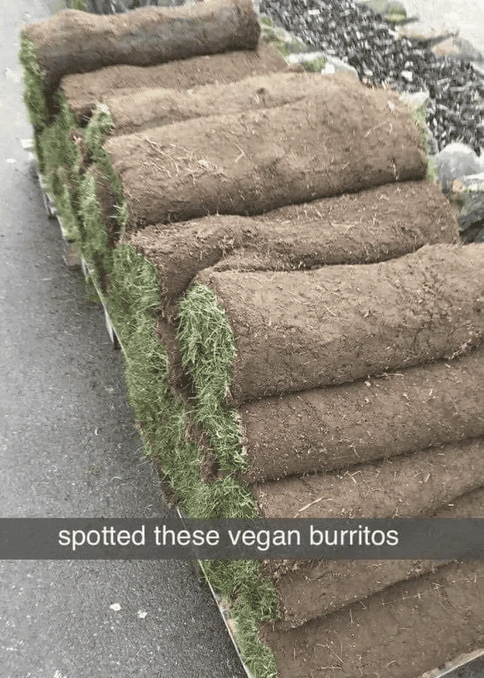 1649934819250.png