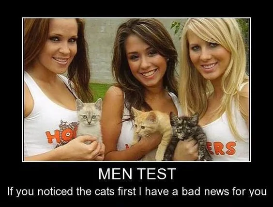 Hooters X3.webp