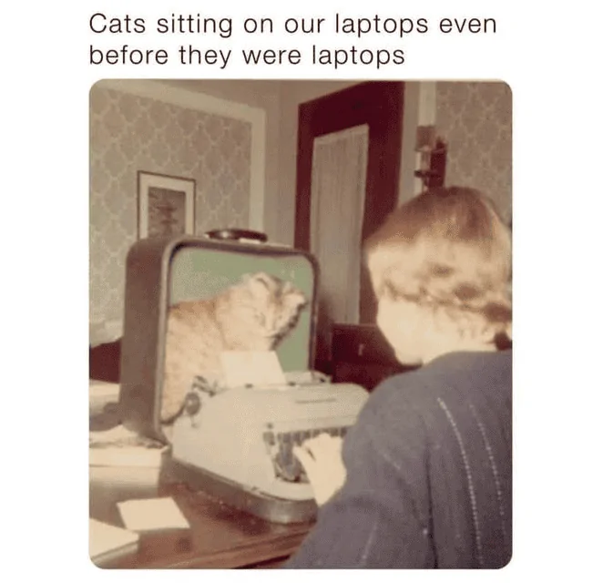 Cat sitting on pre-electronic word processor.webp
