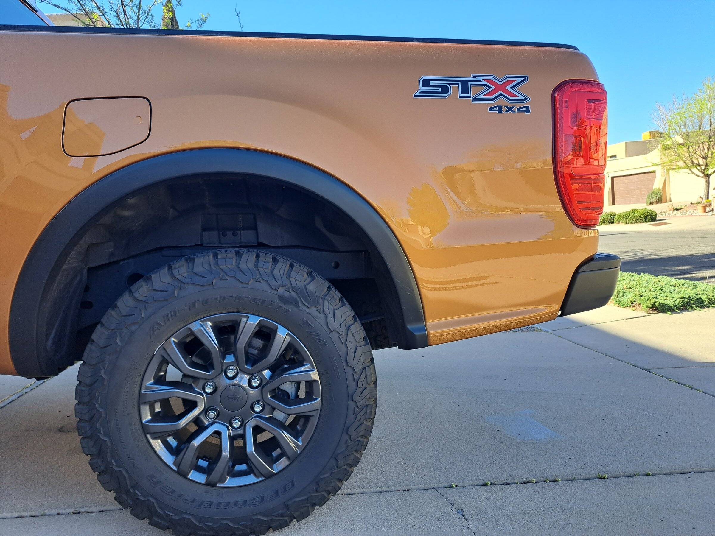 Rear.jpg
